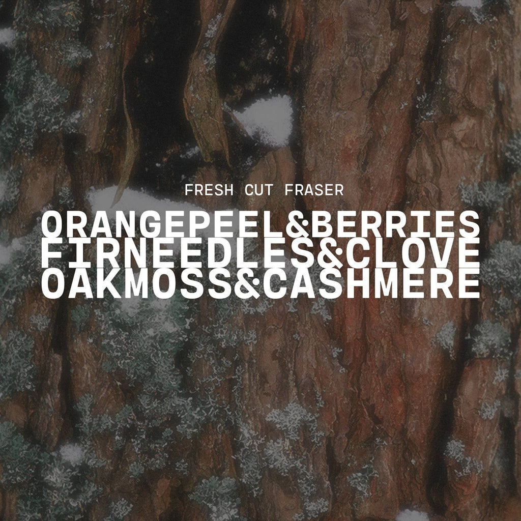 22 oz Butter Jar Candle: Fresh Cut Fraser