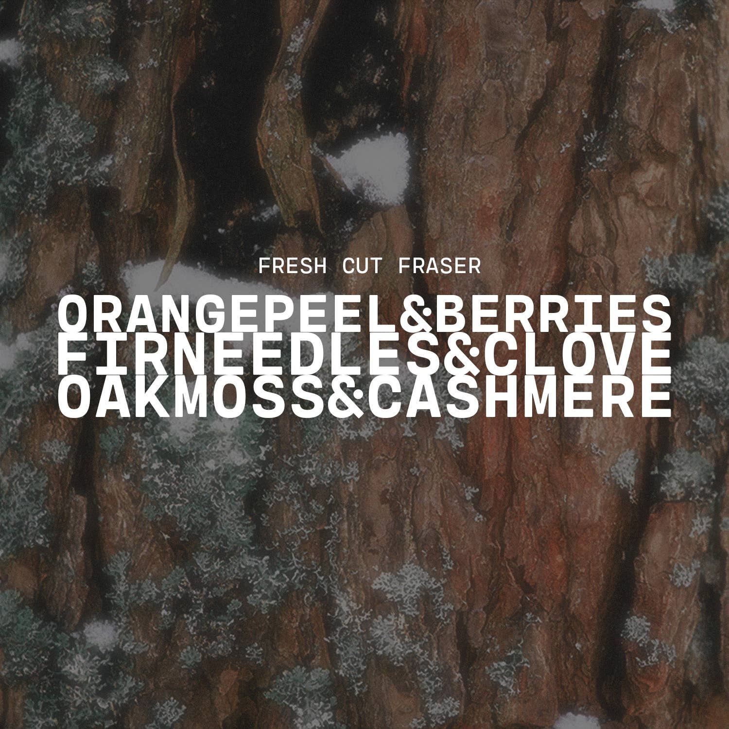 22 oz Butter Jar Candle: Fresh Cut Fraser