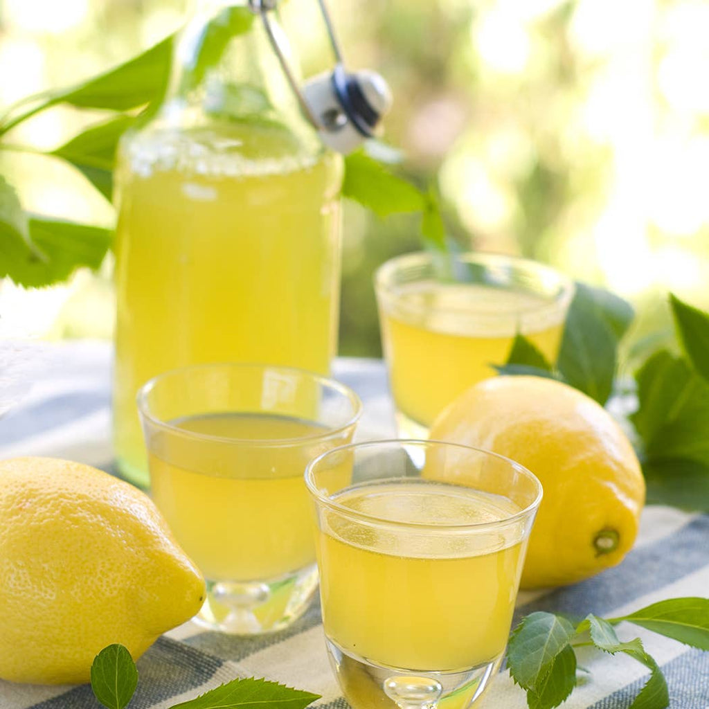 22 oz Butter Jar Candle: Limoncello